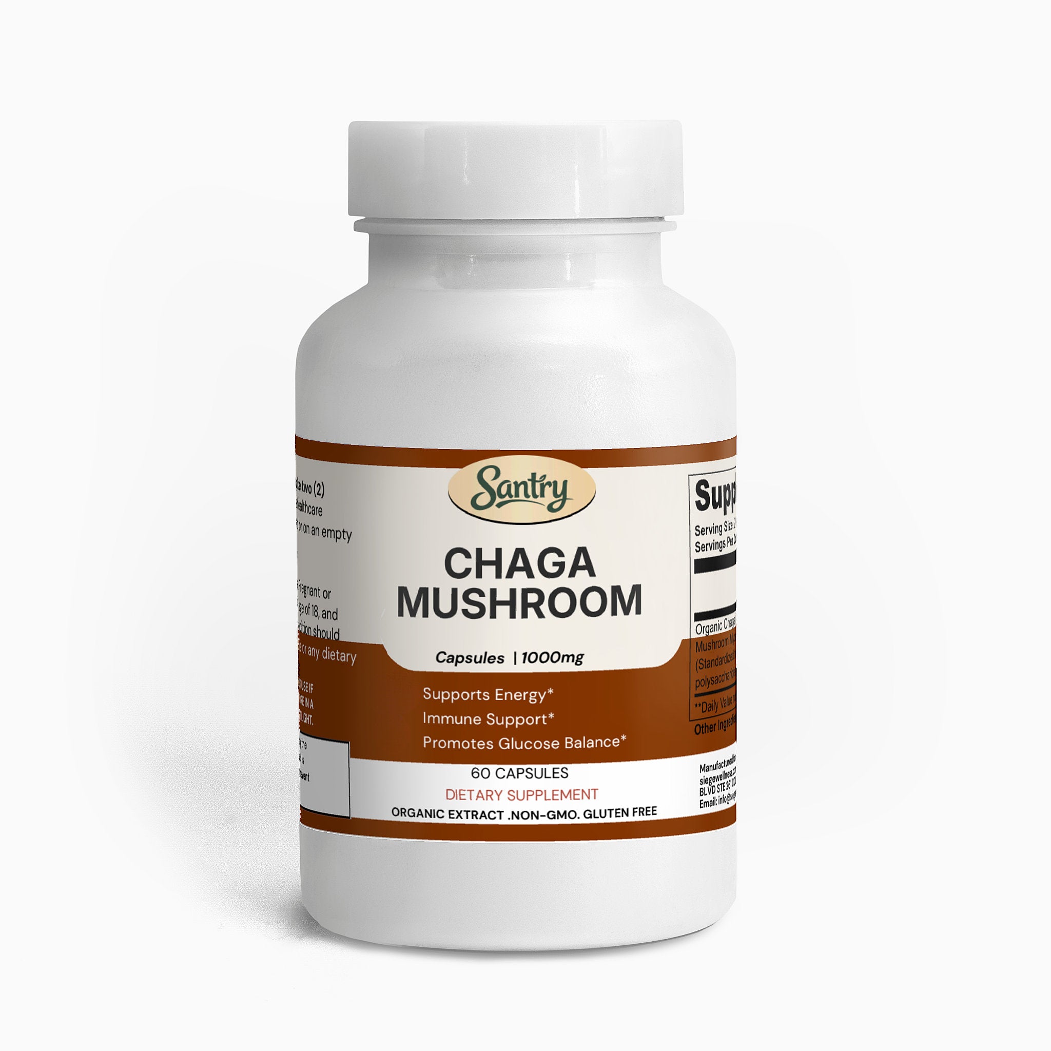 Chaga Mushroom